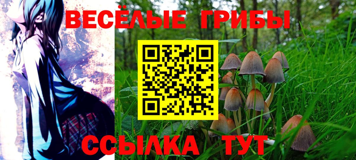 Псилоцибиновые грибы ЛСД  Вход с VPN  Темрюк 