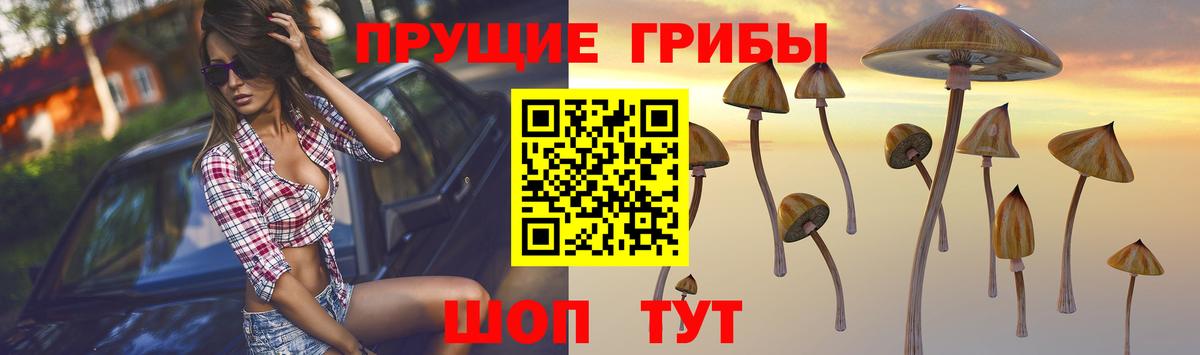 Галлюциногенные грибы Magic Shrooms Темрюк